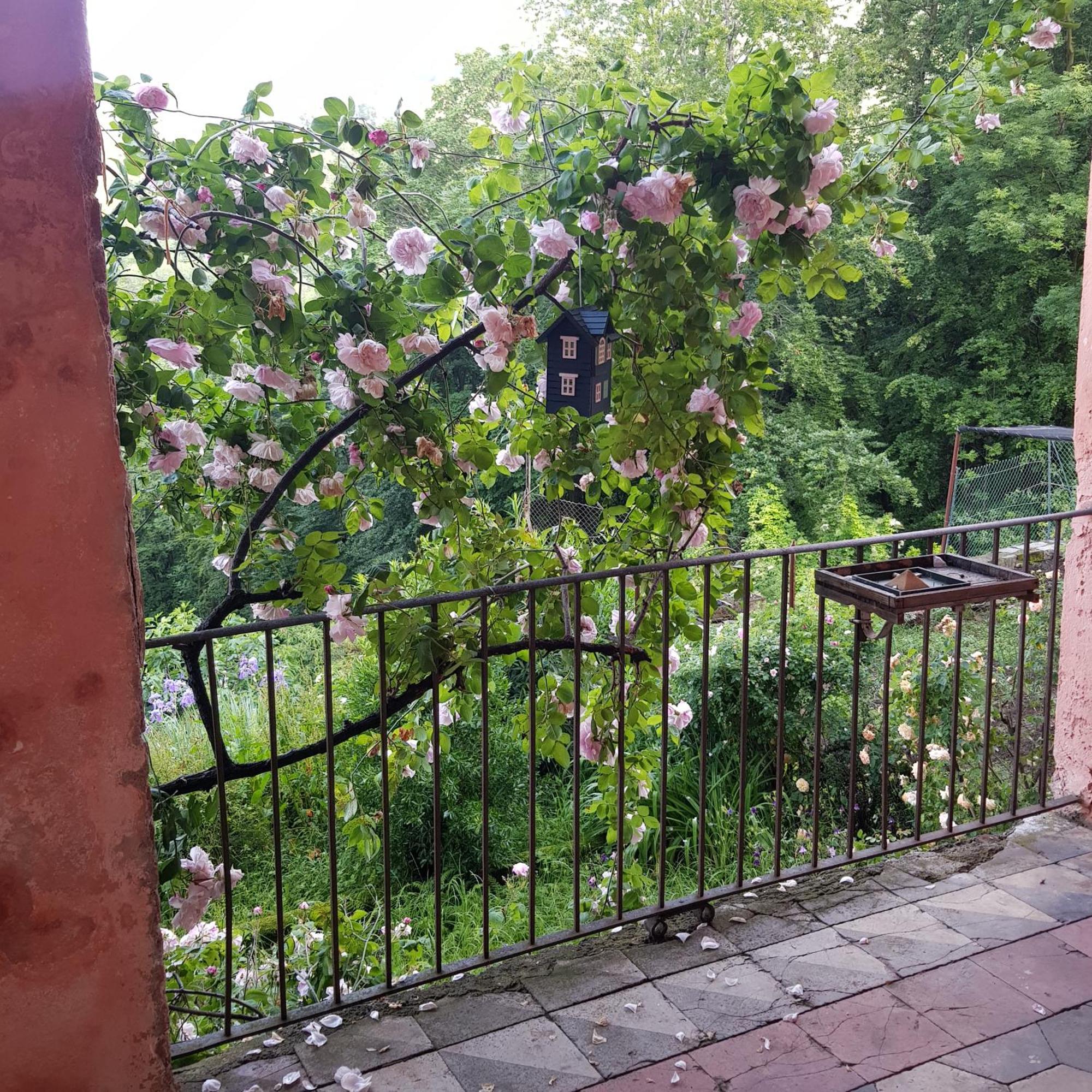 Appartamento Nel Verde Mosso Santa Maria Exterior photo